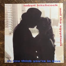 Tumnagel för auktion "ROBYN HITCHCOCK - So You Think Youre In Love 1992. UK Press! 3 Track Maxi. 12"