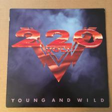 Tumnagel för auktion "220 VOLT - YOUNG AND WILD"