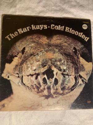 Tumnagel för auktion "the bar kays   cold blooded"