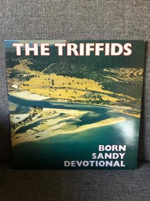 Tumnagel för auktion "The Triffids - Born Sandy Devotional (Hot Records, 1986) LP i bra skick."
