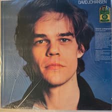 Tumnagel för auktion "DAVID JOHANSEN - SAME. LTD ED NUMRERAD BLUE VINYL RE -14 LP. ROCK. INPLASTAD"