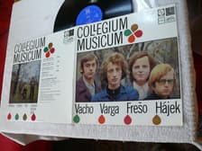 Tumnagel för auktion "COLLEGIUM MUSICUM - LP 1971 prog rock från Tjeckoslovakien"