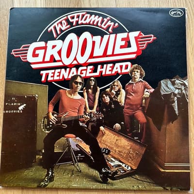 Tumnagel för auktion "FLAMIN’ GROOVIES – Teenage Head + Flamingo - 2 x LP - uk - KSMD 101 - rock"