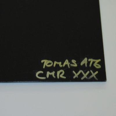 Tumnagel för auktion "30 YEARS CENTURY MEDIA - V/A PIC. LP  TOMAS ATG COPY Metal"