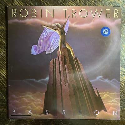 Tumnagel för auktion "ROBIN TROWER - Passion 1986 Prog-rock LP"
