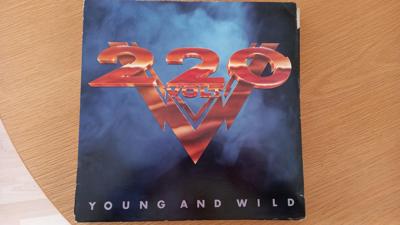 Tumnagel för auktion "220 Volt - Young & Wild"