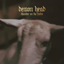 Tumnagel för auktion "Demon Head ”Thunder On The Fields” LP - heavy metal / rock NY!"