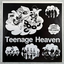 Tumnagel för auktion "V/A teenage heaven LP -90 Den GRUFUS The Early 1 Ltd #016/100 **rare**"