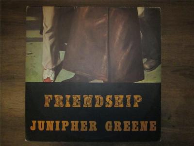 Tumnagel för auktion "JUNIPHER GREEN - FRIENDSHIP MEGA RARE NORSK PROGG!"