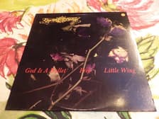 Tumnagel för auktion "CONCRETE BLONDE - LP -"GOD IS A BULLET"-ROCK 89 -JIMI HENDRIX "LITTLE WING++++++"