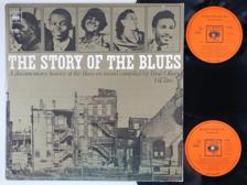 Tumnagel för auktion "THE STORY OF THE BLUES vol. 2 - v/a - US 2-LP - gatefold - Son House - TOPPEX!"