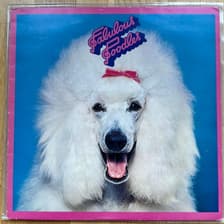 Tumnagel för auktion "FABULOUS POODLES - s/t - LP - uk -77 - NSPL 18530 - punk / new wave / pub rock"