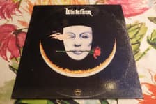 Tumnagel för auktion "WHITEFACE - PROMO LP - "WHITEFACE" - ROCK 1979!!!"