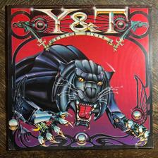 Tumnagel för auktion "Y&T - Black Tiger 1982. US Press! Yesterday & Today Prog-rock. Metal. LP"