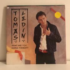 Tumnagel för auktion "Tomas Ledin - What Are You Doing Tonight? 12” 1983 (Svensk press, Polar)"