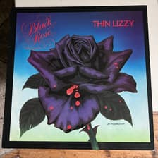 Tumnagel för auktion "Thin Lizzy – Black Rose (A Rock Legend) Scandinavia 1979 Vinyl VG+"