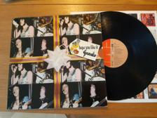 Tumnagel för auktion "GEORDIE Hope You Like IT LP 1973 RARE SVENSK PRESS AC/DC BRIAN JOHNSON"