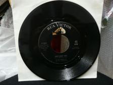 Tumnagel för auktion "ELVIS PRESLEY    45 RPM    SHES NOT YOU   USA ORG PRESS"