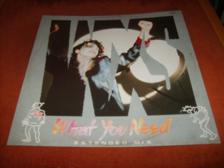 Tumnagel för auktion "12" Maxi Singel   INXS  1985  Holland press    What you need !!!! + Livelåt  "