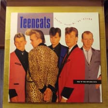 Tumnagel för auktion "TEENCATS. LP. TEDDY BOY ROCK 'N' ROLL. * RARE ROCKABILLY! *."