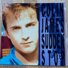 Tumnagel för auktion "COLIN JAMES – Sudden Stop - LP - uk/eur -90 - VUSLP 20 - blues rock"