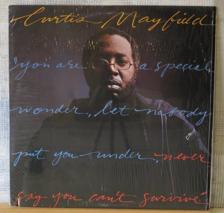 Tumnagel för auktion "CURTIS MAYFIELD ::NEVER SAY YOU CAN`T SURVIVE  (LP) US Press"