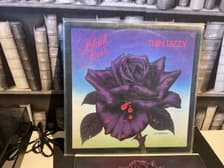 Tumnagel för auktion "THIN LIZZY Black Rose-A Rock Legend, från 1979 vinyl LP"