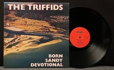 Tumnagel för auktion "The Triffids – Born Sandy Devotional RARE Rock LP 1986 Insert Printed Innerbag"