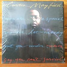 Tumnagel för auktion "Curtis Mayfield - Never Say You Can’t Survive LP 1977 (US-press Curtom)"