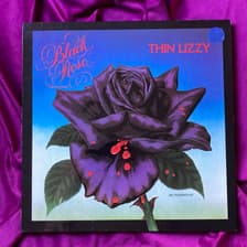 Tumnagel för auktion "Thin Lizzy ”Black Rose a rock legend""