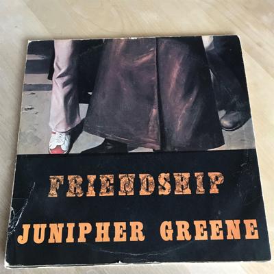 Tumnagel för auktion "Junipher Greene – Friendship - Norway 1971 mega rare – progressive psych monster"