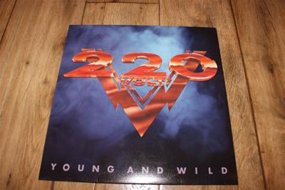 Tumnagel för auktion "220 VOLT : YOUNG AND WILD"