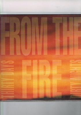 Tumnagel för auktion "FROM THE FIRE - S/T BRILLIANT AOR/HARD ROCK LP"
