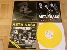 Tumnagel för auktion "ASTA KASK Rock mot svinen LP+ samlade singlar dubbel LP VINYL"