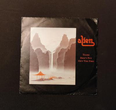 Tumnagel för auktion "Alien - Tears Dont Put Out The Fire 7""