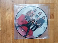 Tumnagel för auktion "Spiders - S/t, Picture disc 10" (Crusher Records 2011) Gbg rock!"