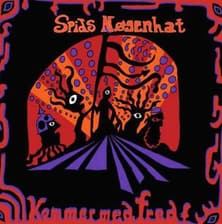 Tumnagel för auktion "Spids Nøgenhat – Kommer Med Fred Repress, Green lp Psychedelic Rock"