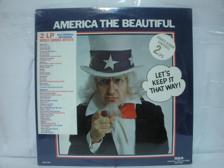 Tumnagel för auktion "AMERICA THE BEAUTIFUL - V/A - 2-LP - INPLASTAD"