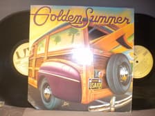 Tumnagel för auktion "GOLDEN SUMMER - V/A - 2 -LP - SURFIN´ - THE BEACH BOYS....."