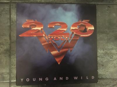 Tumnagel för auktion "220 Volt - Young and Wild - LP vinyl skiva"