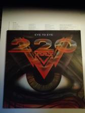 Tumnagel för auktion "220 Volt - Eye To Eye"
