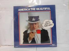 Tumnagel för auktion "AMERICA THE BEAUTIFUL - V/A - INPLASTAD - 2-LP"