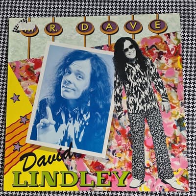 Tumnagel för auktion "David Lindley, Mr Dave, Vinyl LP"