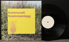 Tumnagel för auktion "Kommunalt Svømmeanlegg Hjernen Ser Ut Som En Tyggis RARE Post Rock 12" Testpress"