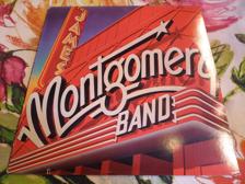 Tumnagel för auktion "JAMES MONTGOMERY BAND - LP - "THE JAMES MONTGOMERY BAND" - 1976 ROCK!!!"